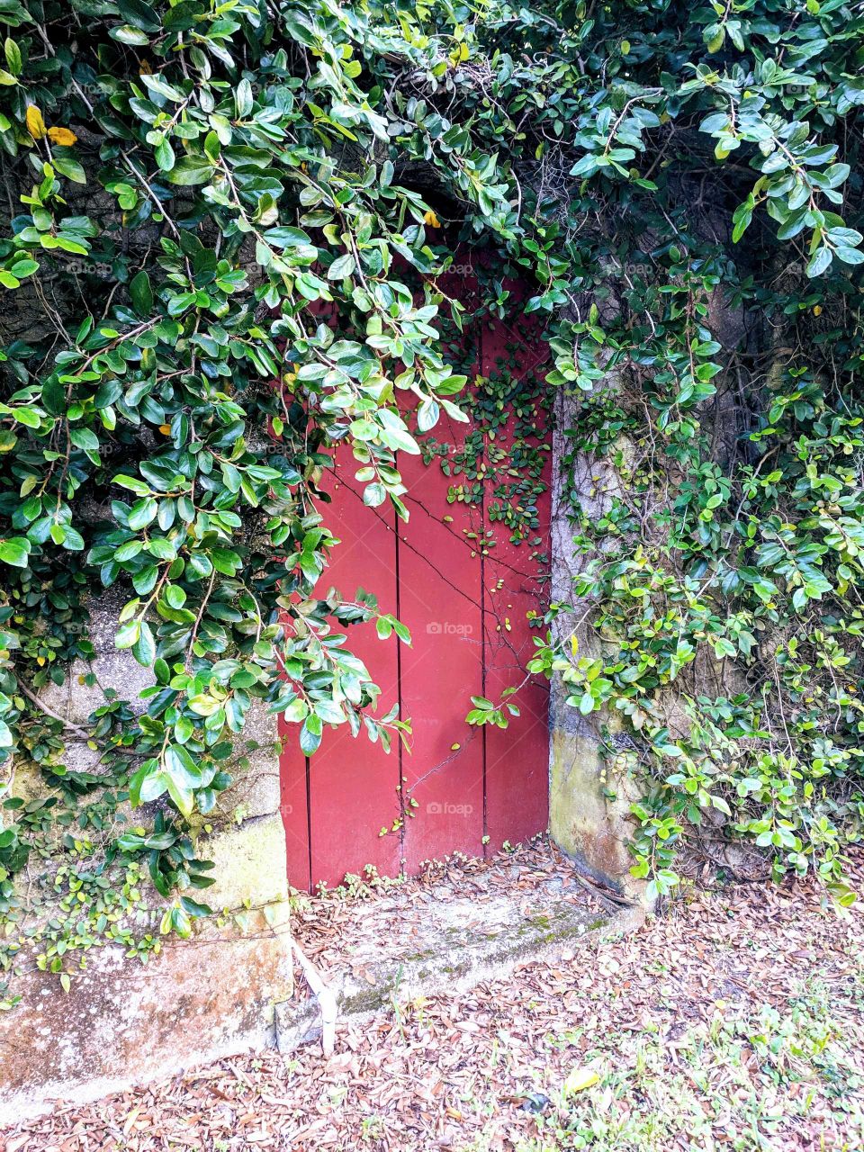 Hidden Red Door
