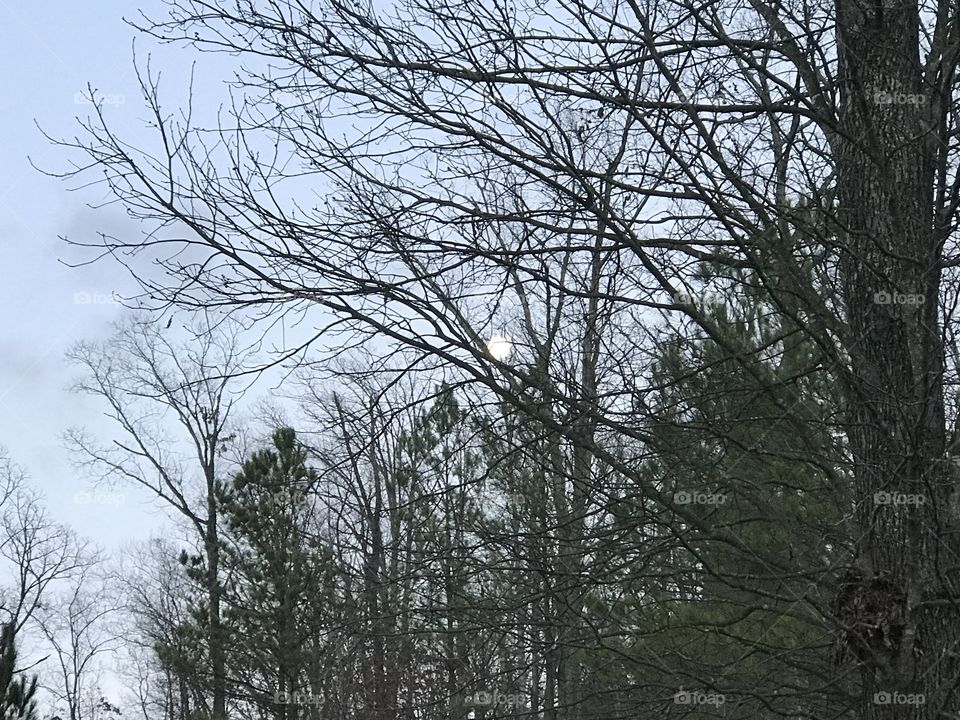 Full moon peeking thru