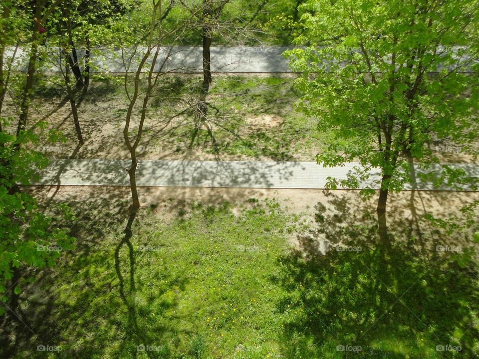 Green landscape view from balcony