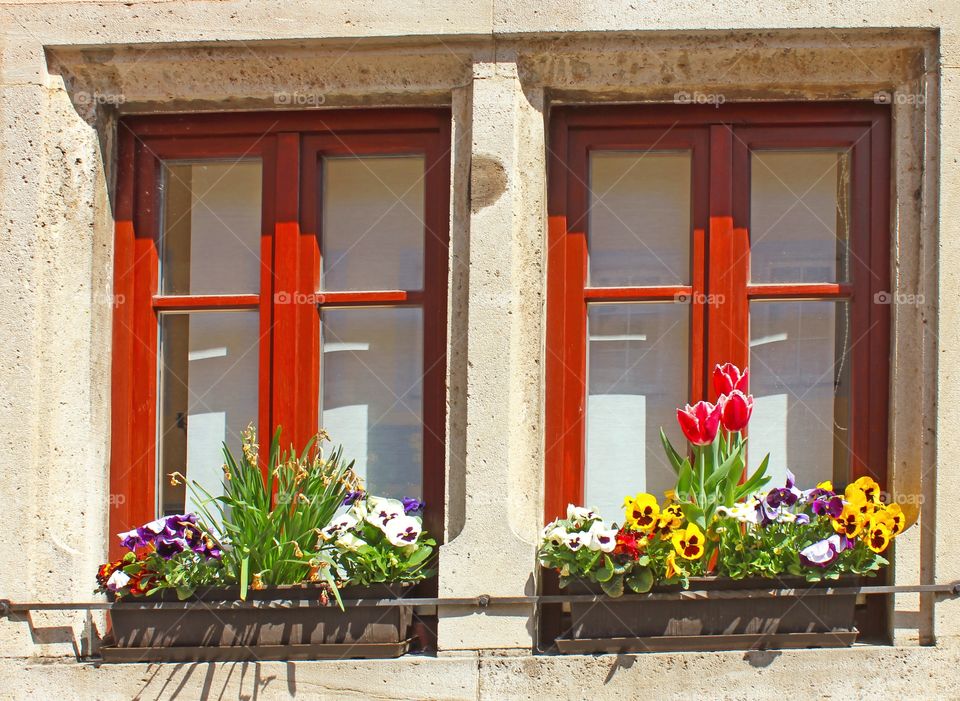 Beautiful windows in spring 