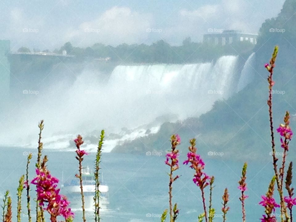 Flowers in front of the falls