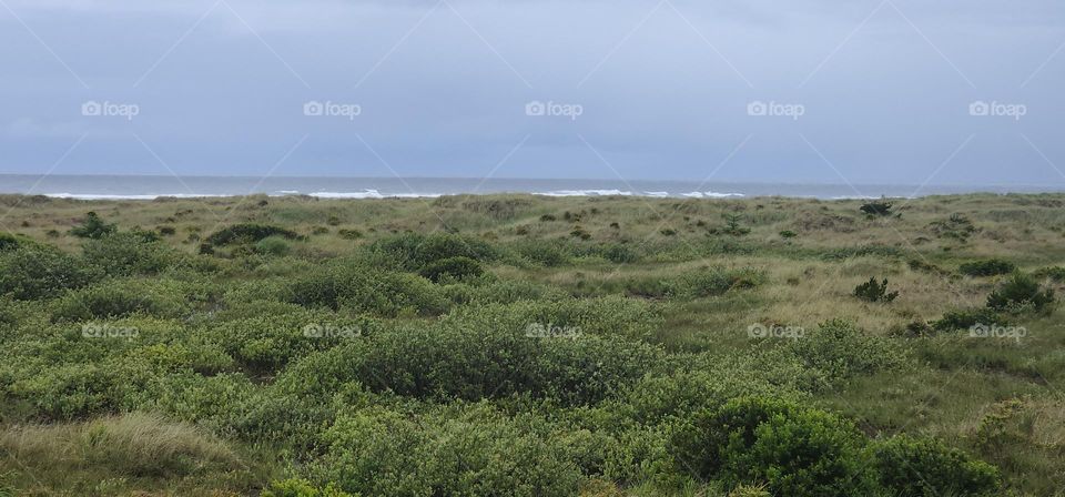 found the beach on our walk