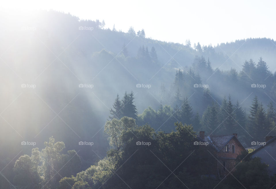 Sunrise over the mountain trees