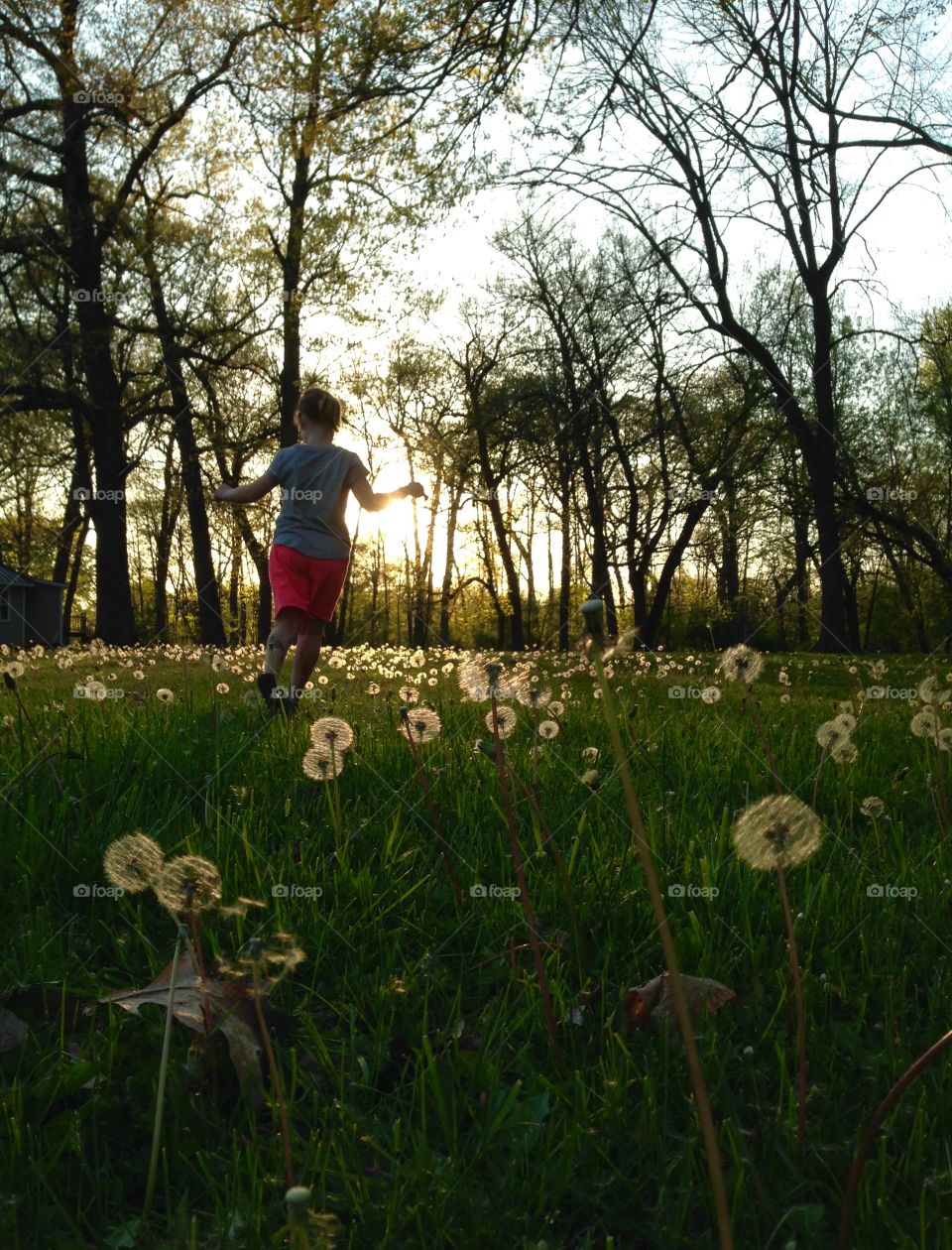 Running through flowers