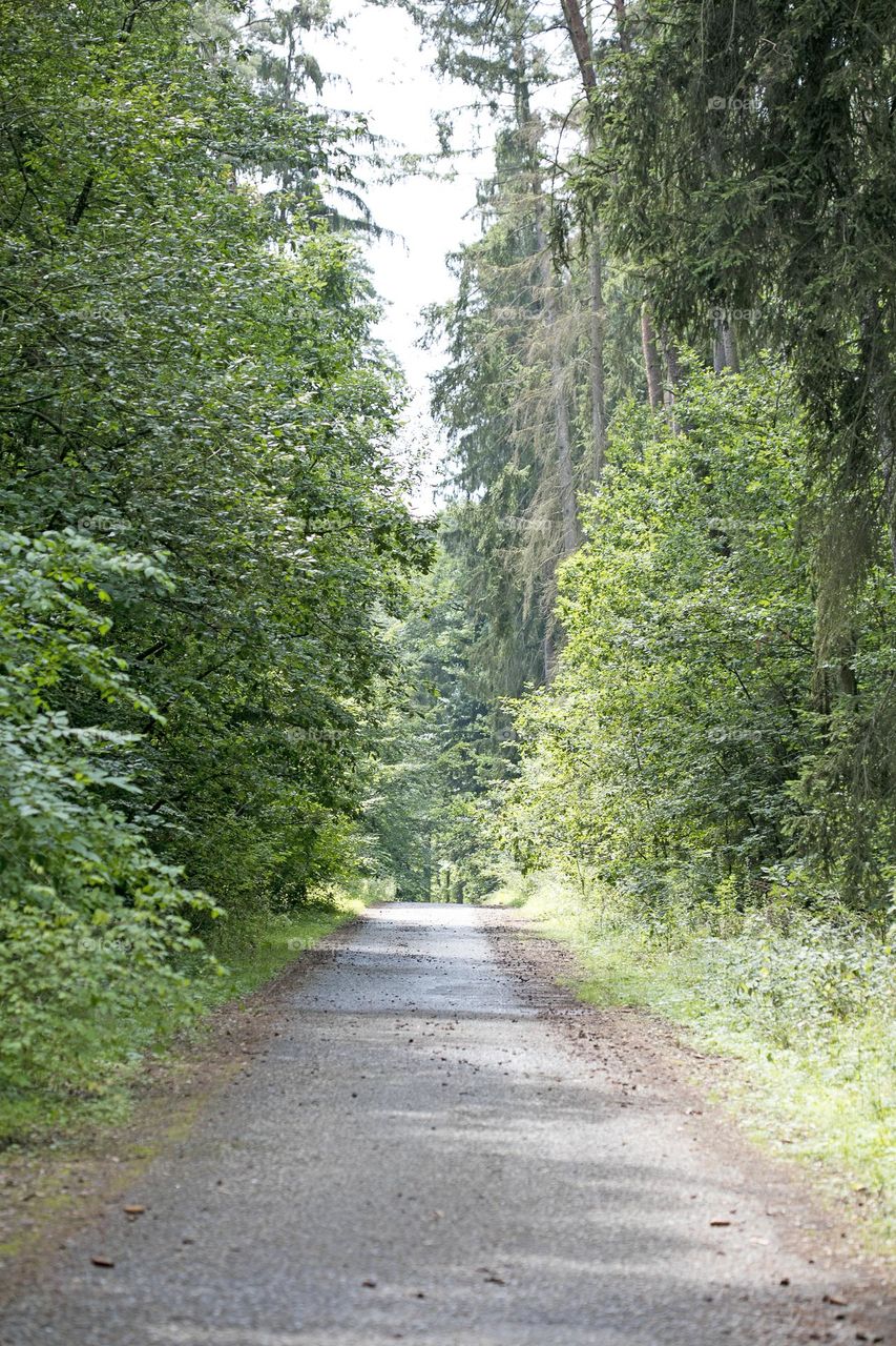 Walking on wild nature forest summer feeling holidays Crete Island Greece amazing places to visit naturalism adventure time hustling daydreaming be free