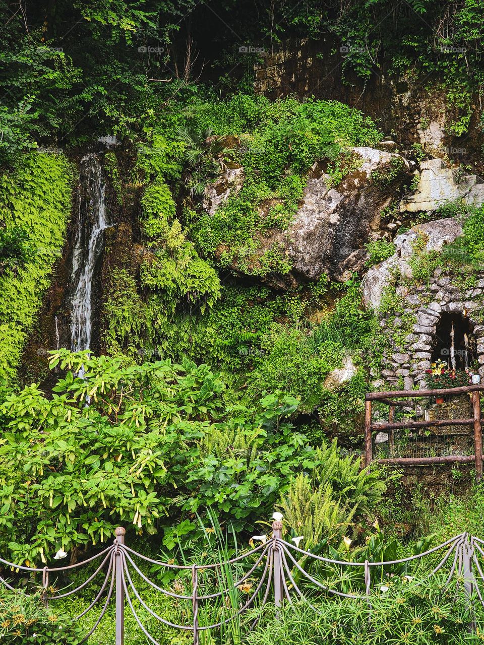 A small sideway forest in Sorrento, Italy