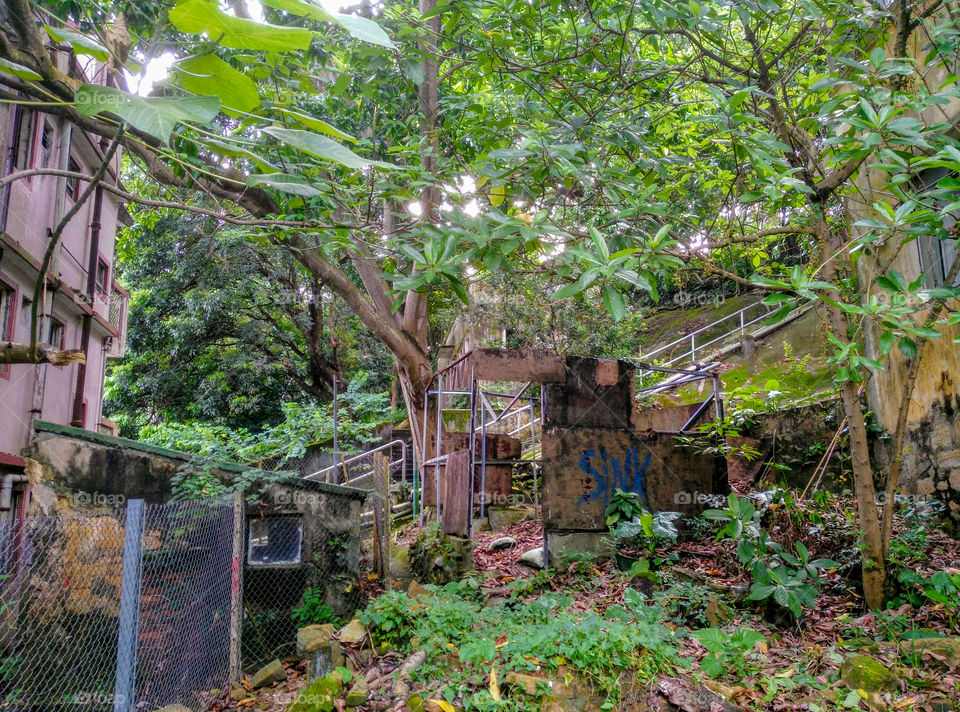 Abandoned and ruined houses in the forest, Ma Wan Island, Hong Kong