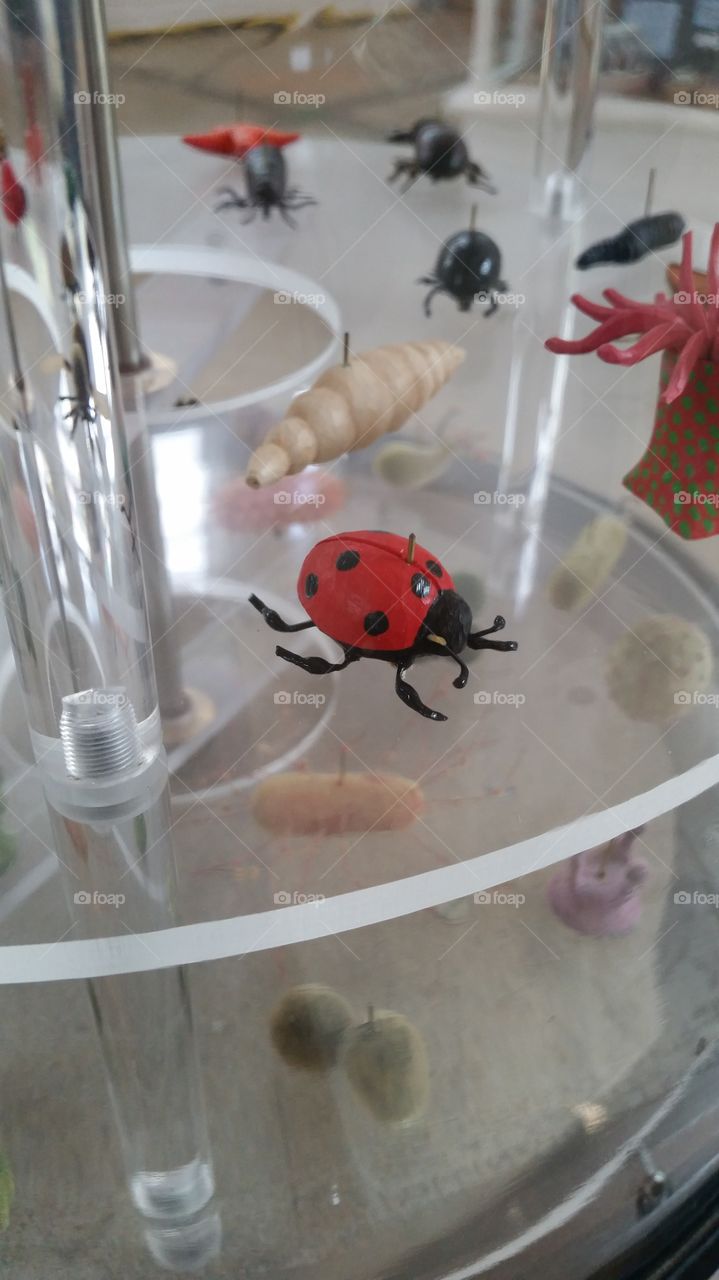 Lady Bug figure in Eden Project
