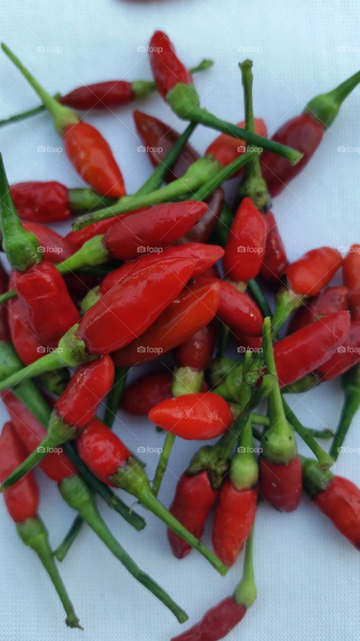 red chili