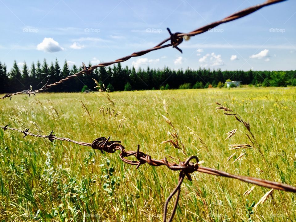 Barbed wire and a beautiful country land. 