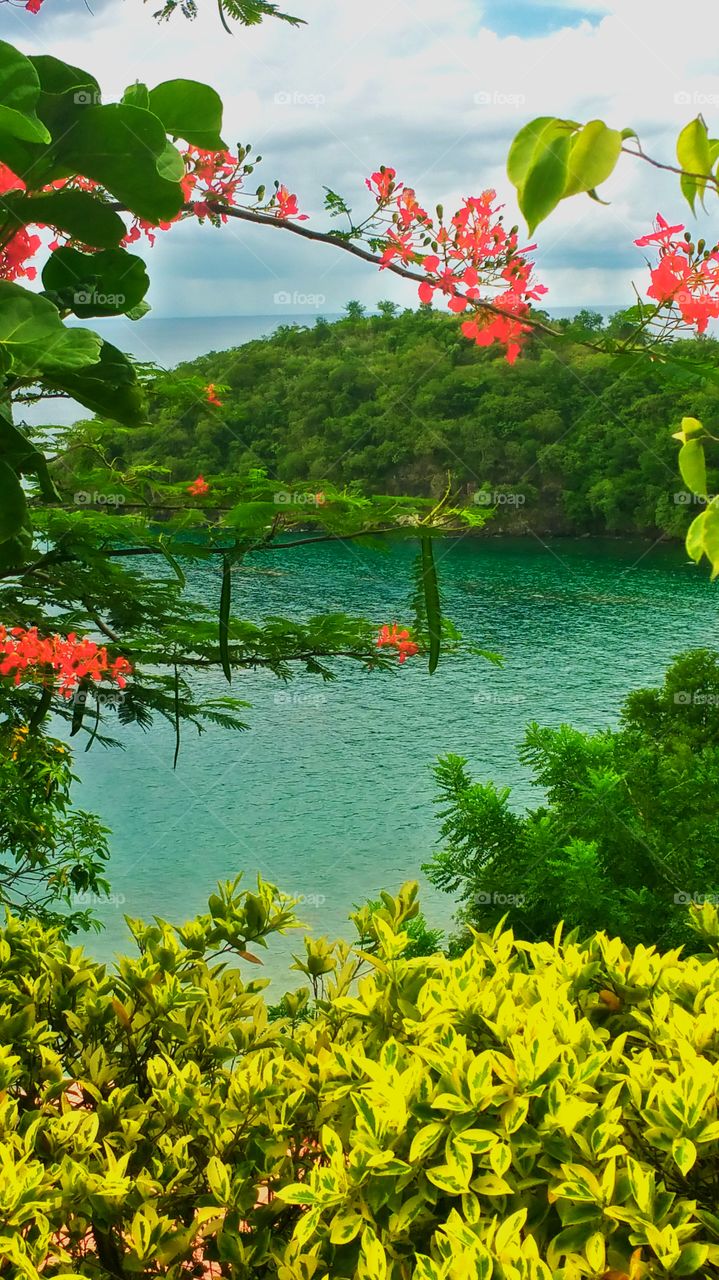 The beautiful Caribbean.. view from somewhere in St Lucia