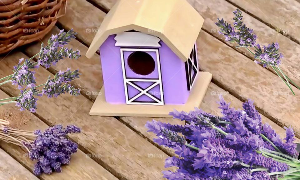 lavender wooden house