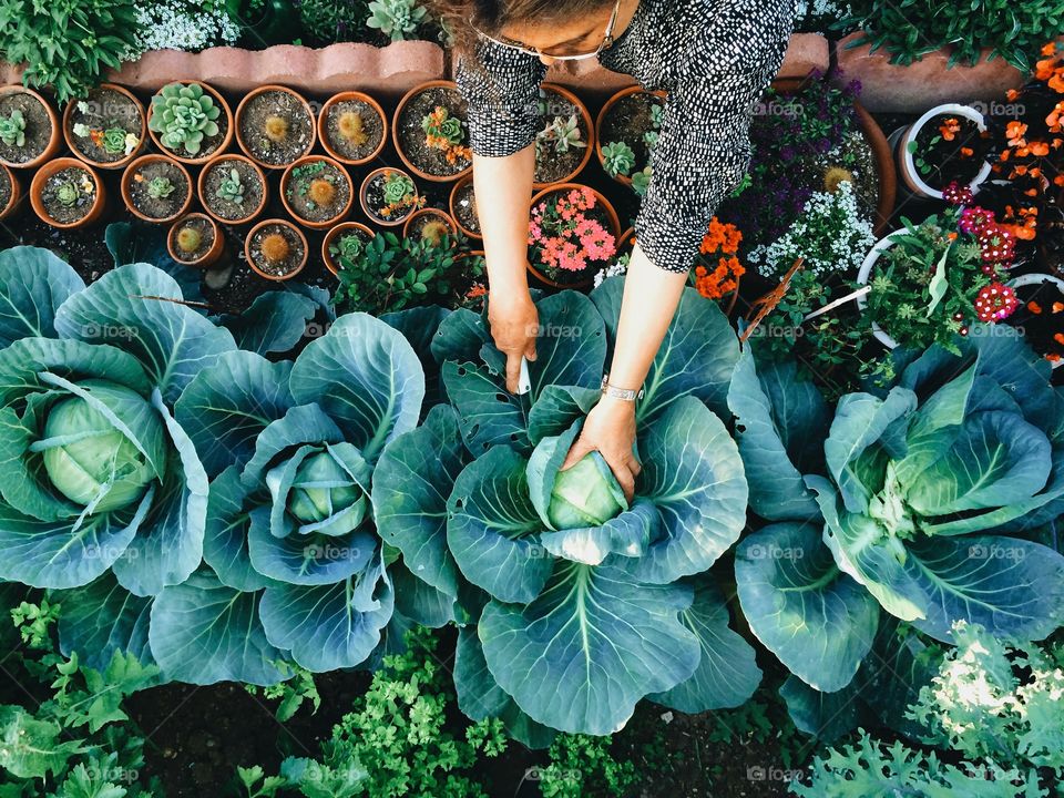 Woman at her vegetable garden