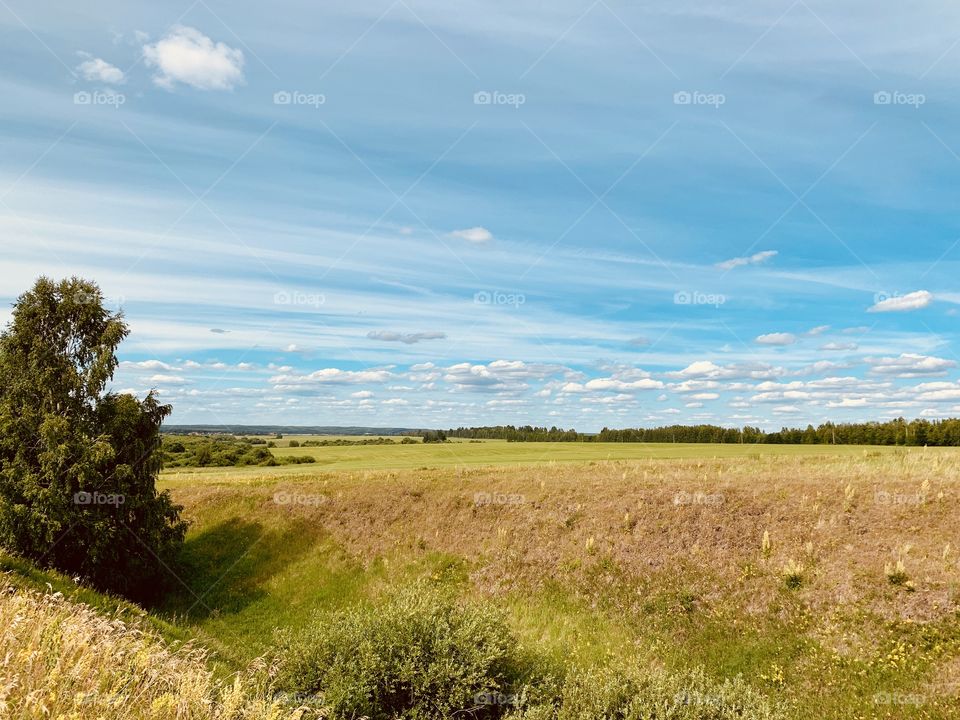 summer sky over the meadows