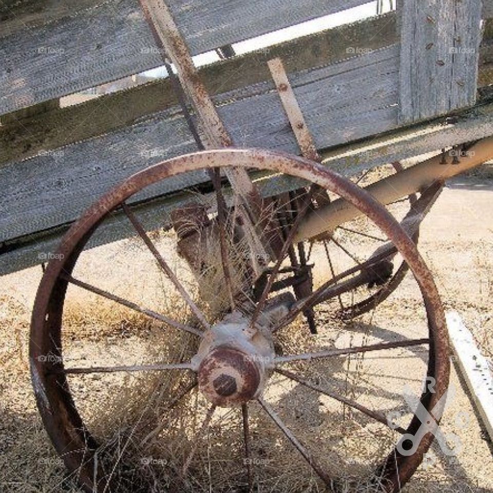 Wagon wheel