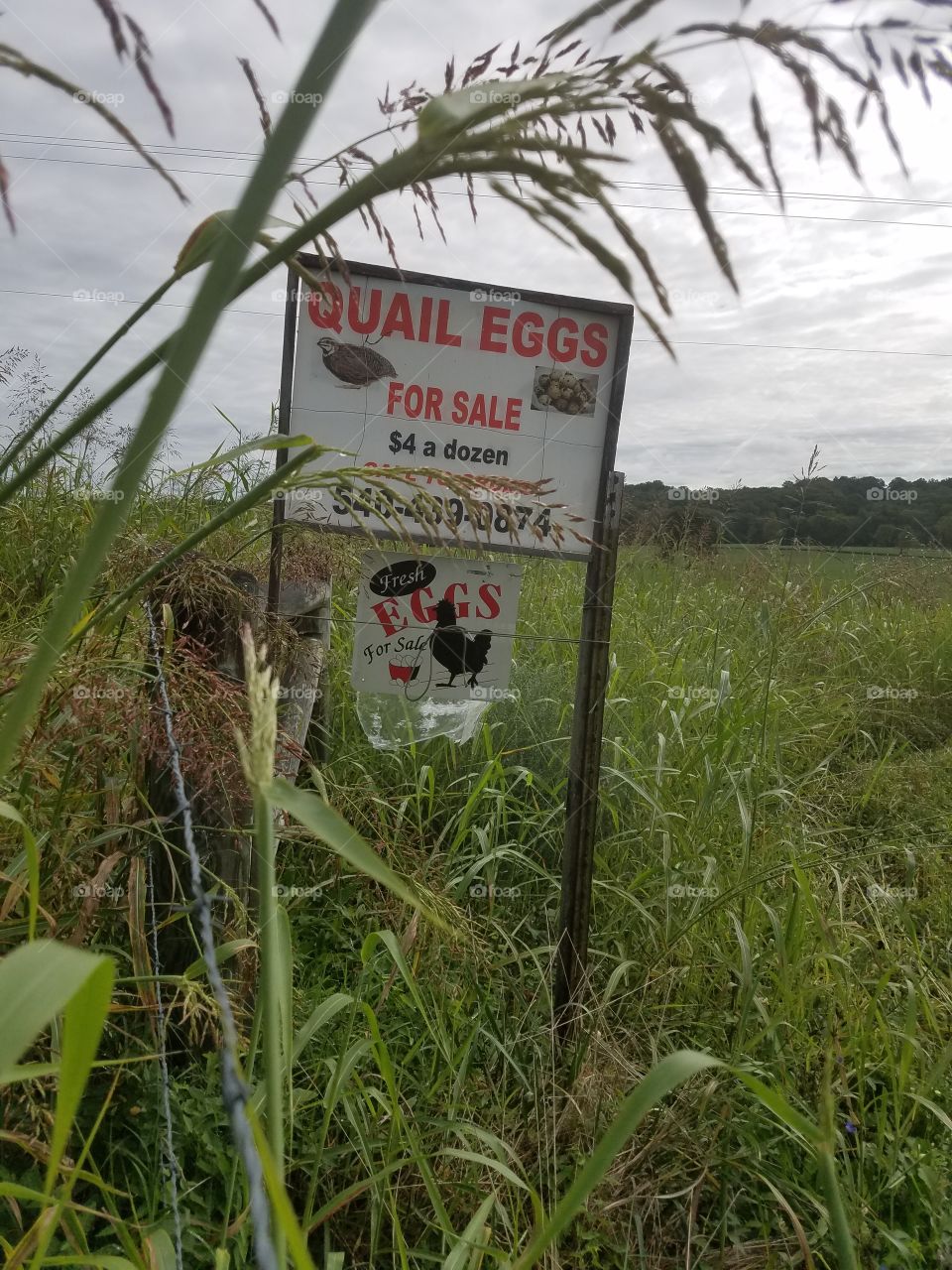 Farmer sign..... Eggs for Sale
