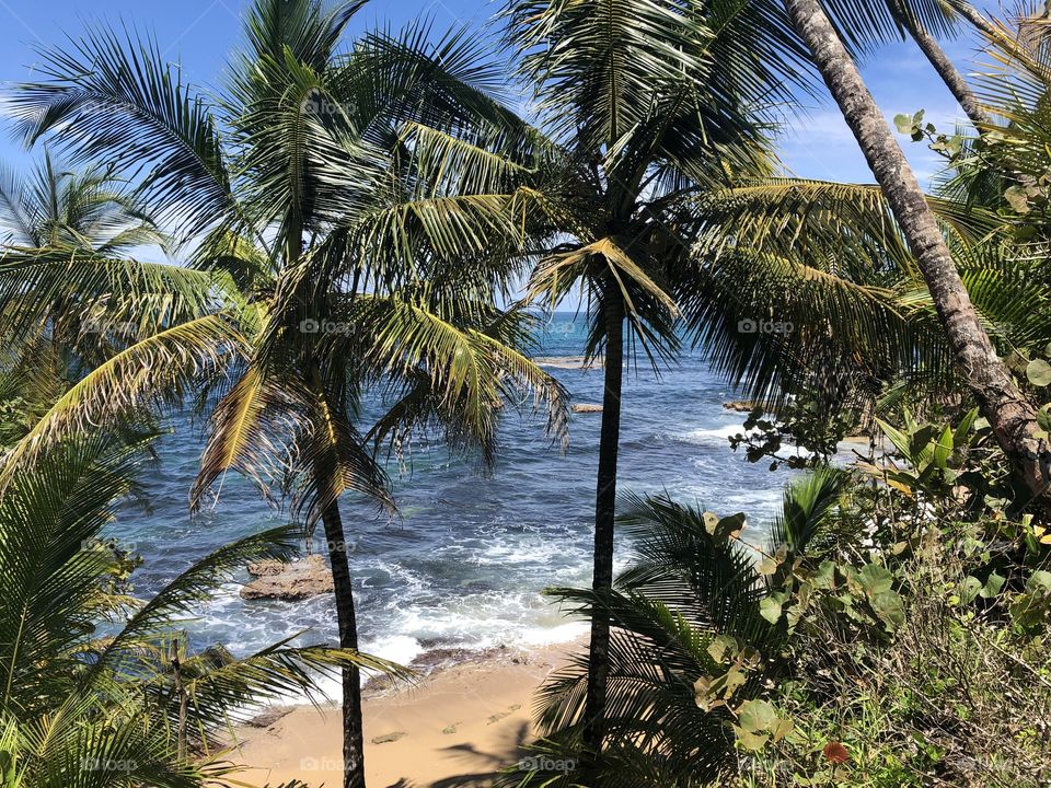 Another day in paradize 