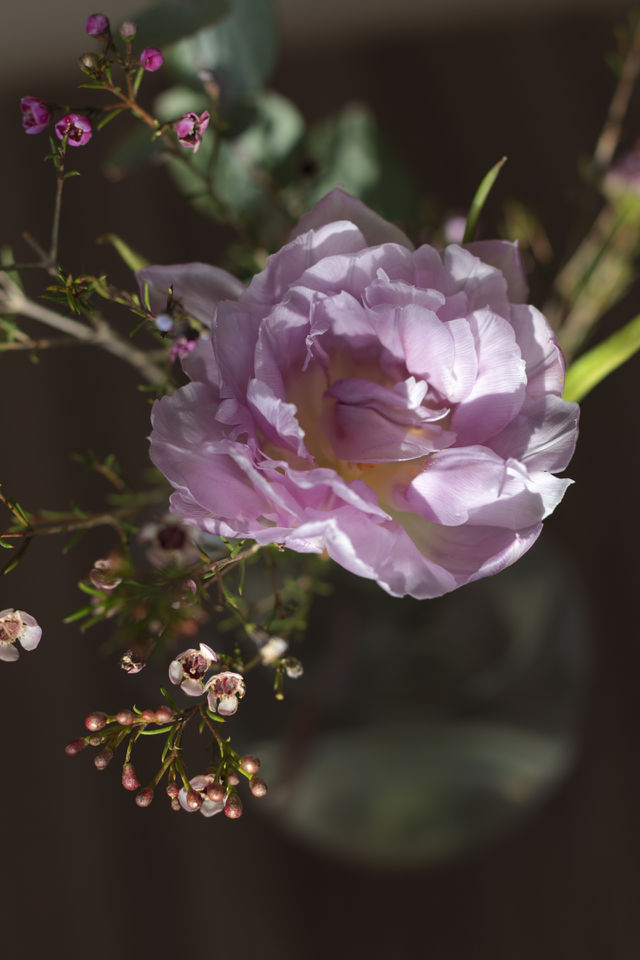 A bouquet of beautiful flowers 