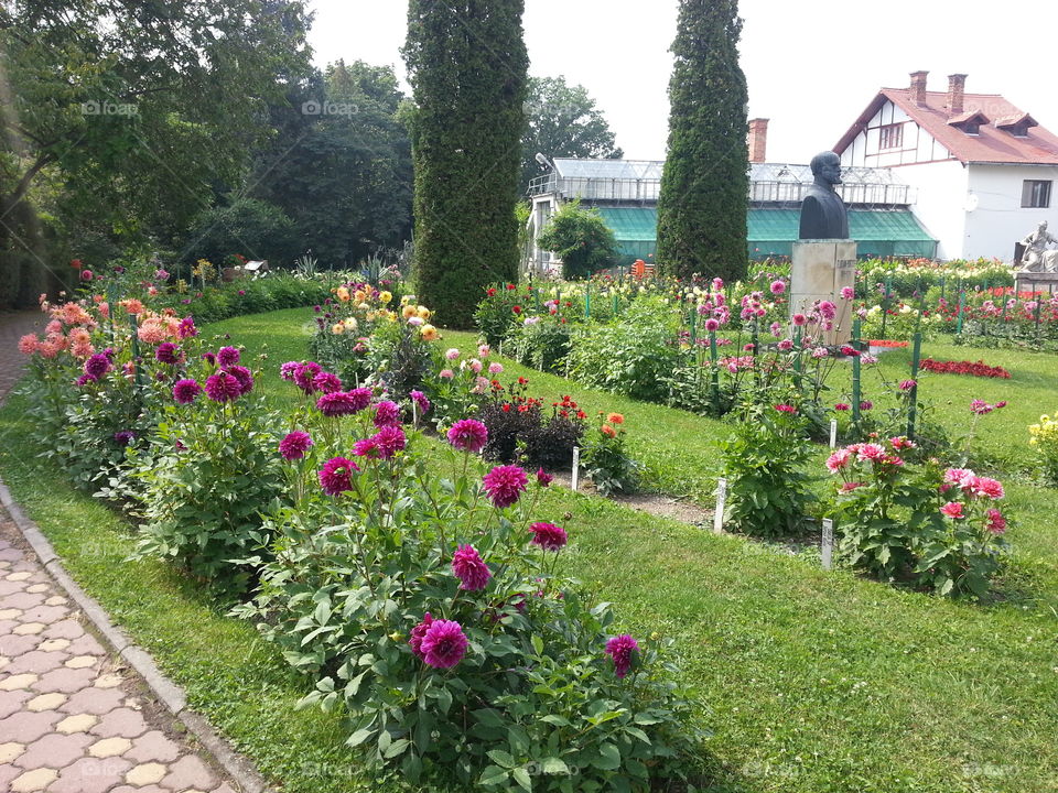botanical garden Cluj Napoca