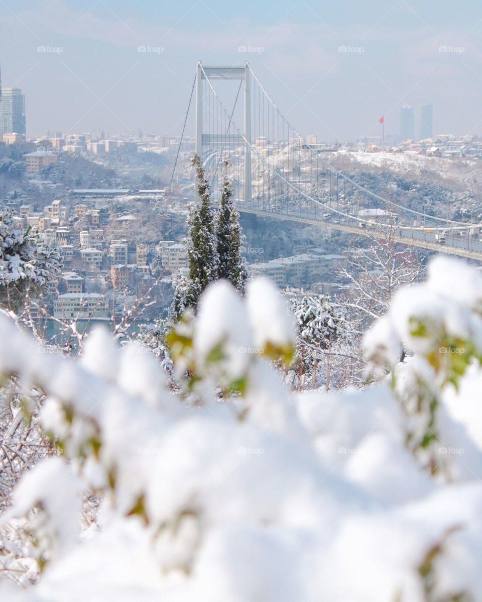 the city through the snow-covered branches