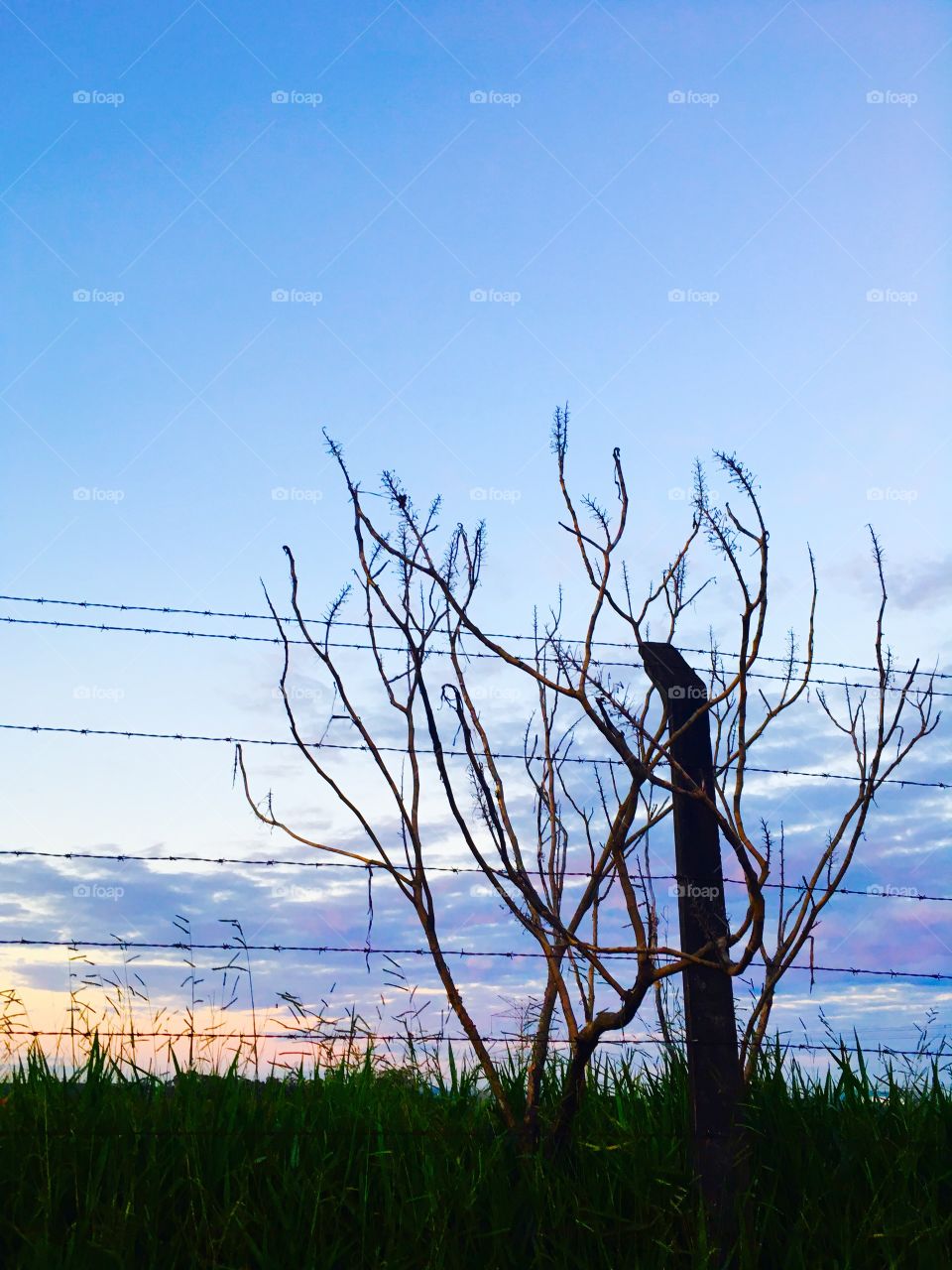 A Natureza sempre é generosa...