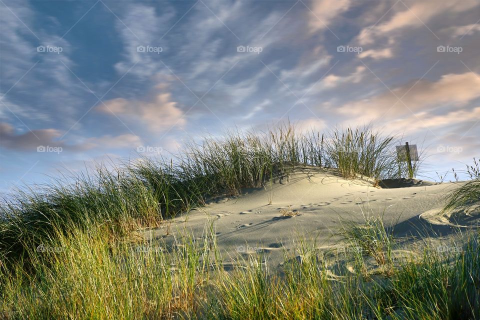 Autumn's beach