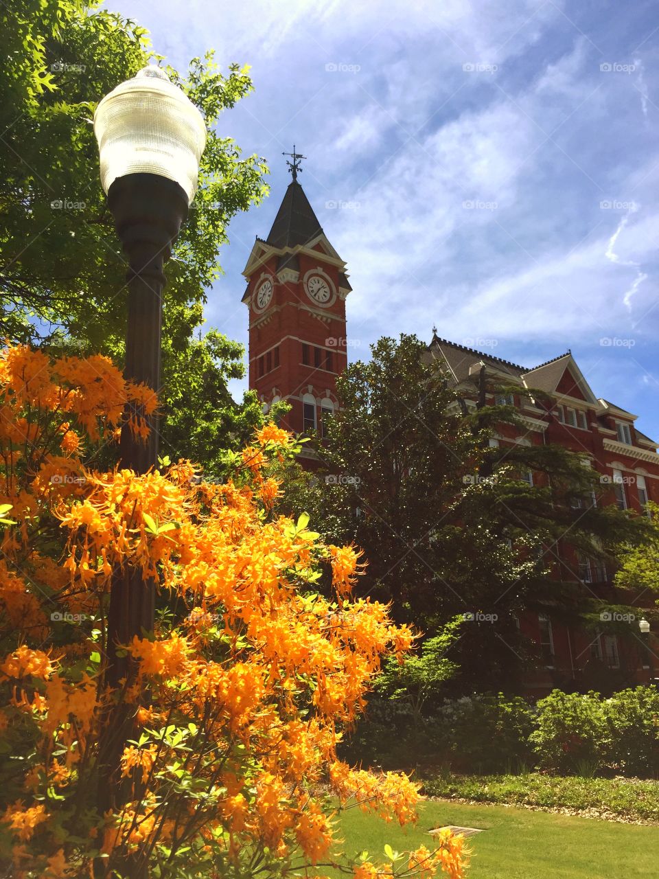 Auburn university . Auburn university chapel 