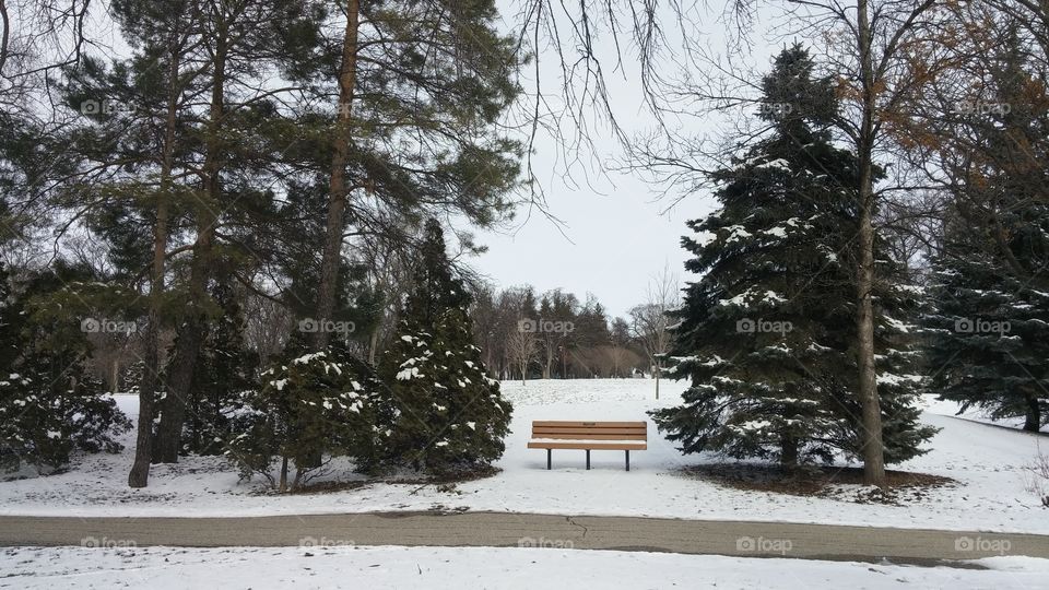 winter bench