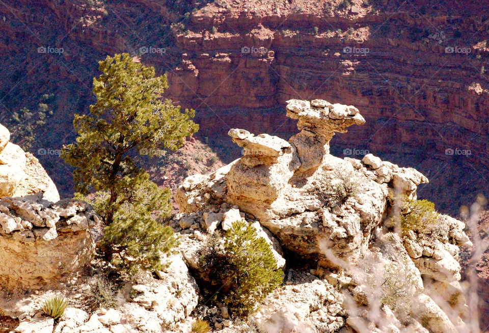 arizona mountain trees rocks by refocusphoto