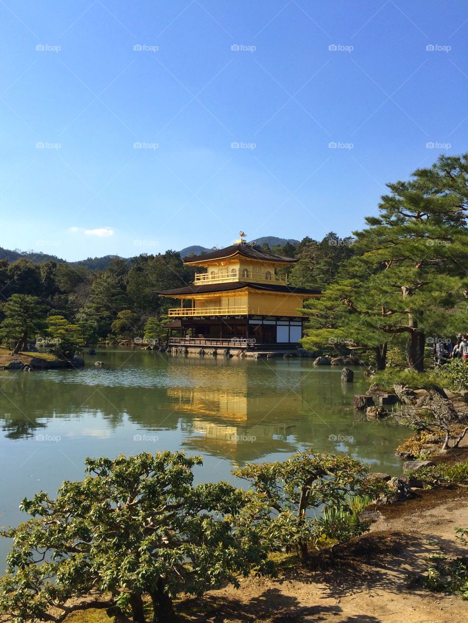 Kinkaku-ji Golden Castle @ Kyoto, Japan