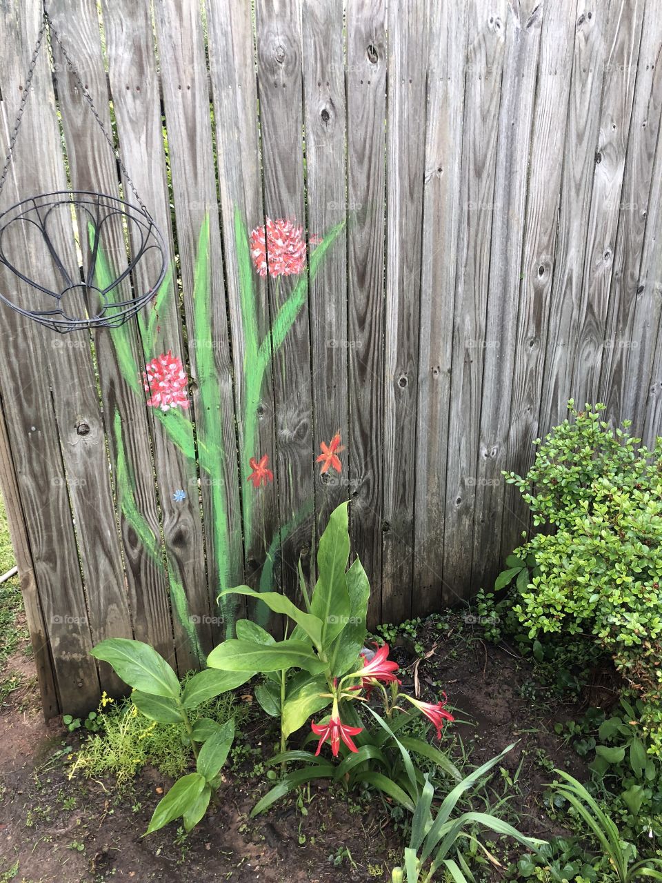 Painted flowers on a wooden privacy fence and also real  ted lilies at the base with greenery. 
