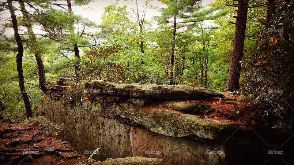 Rock formations gathering leaves early in the autumn season.