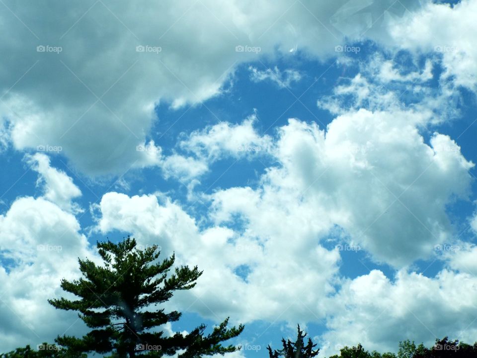 Clouds in the Sky way up High