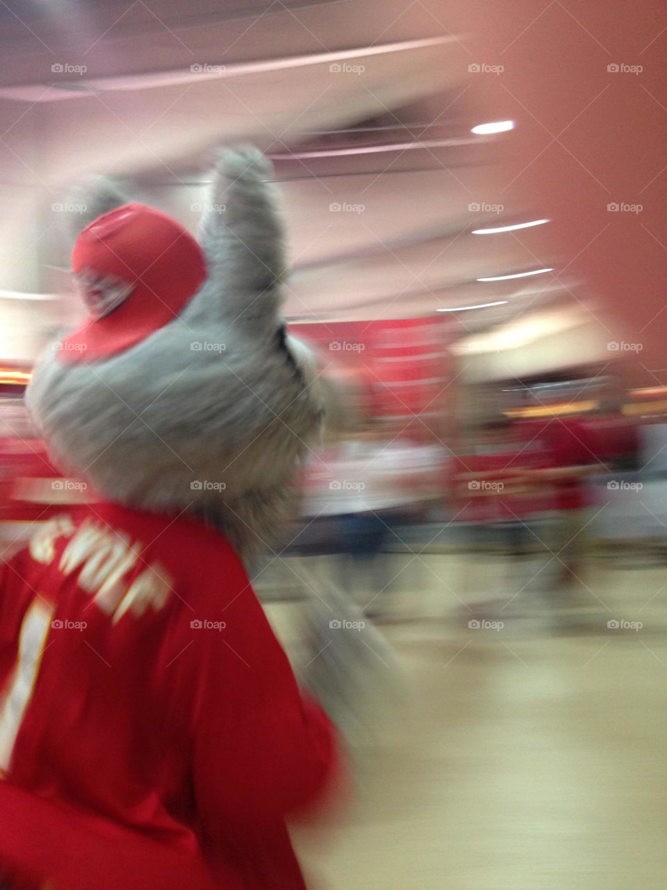 KC Wolf to the rescue.