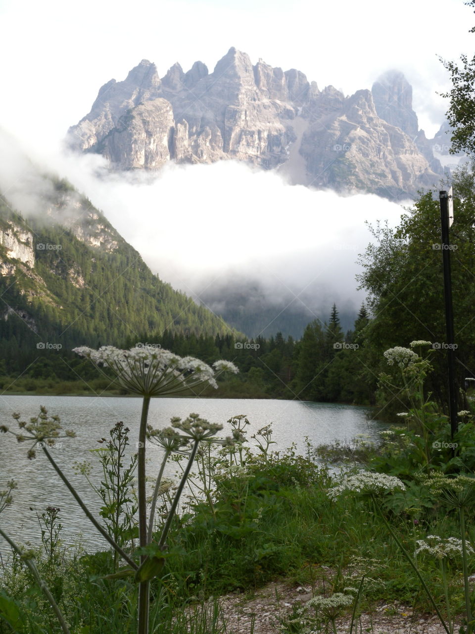 fog in the mountains