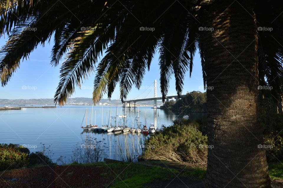 Travel Destination, Iconic Bay Bridge