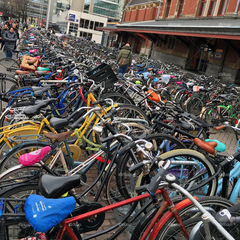 Amsterdam cyclists 