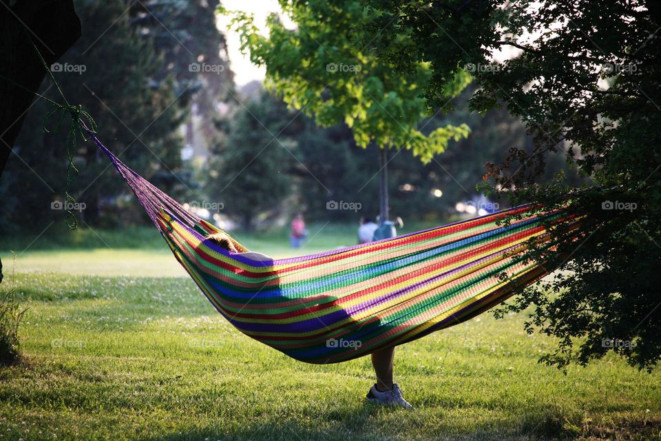 Resting in a hammock on a wonderful summer evening