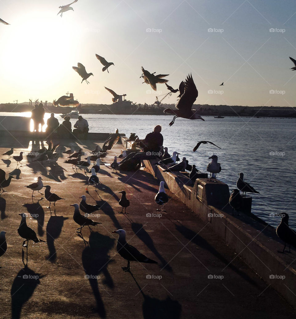 interesting photo story, silhouette of a man sitting at the port feeding pidgeons and a group of people waiting for the sun to set