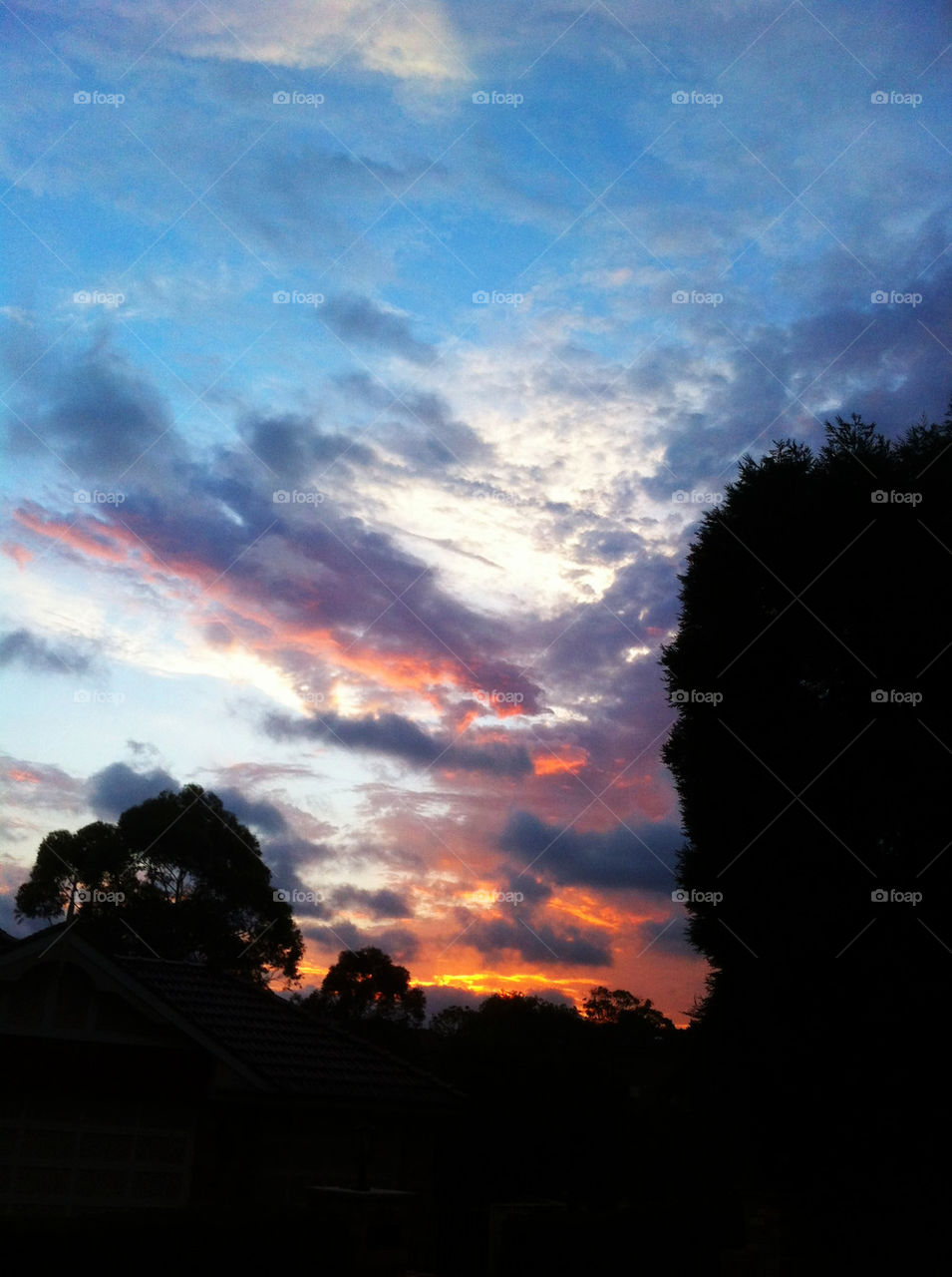 sky nature blue outdoors by king