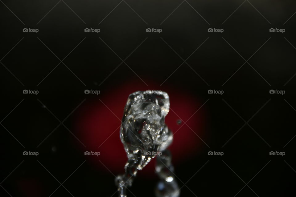 Jardín botánico, Madrid