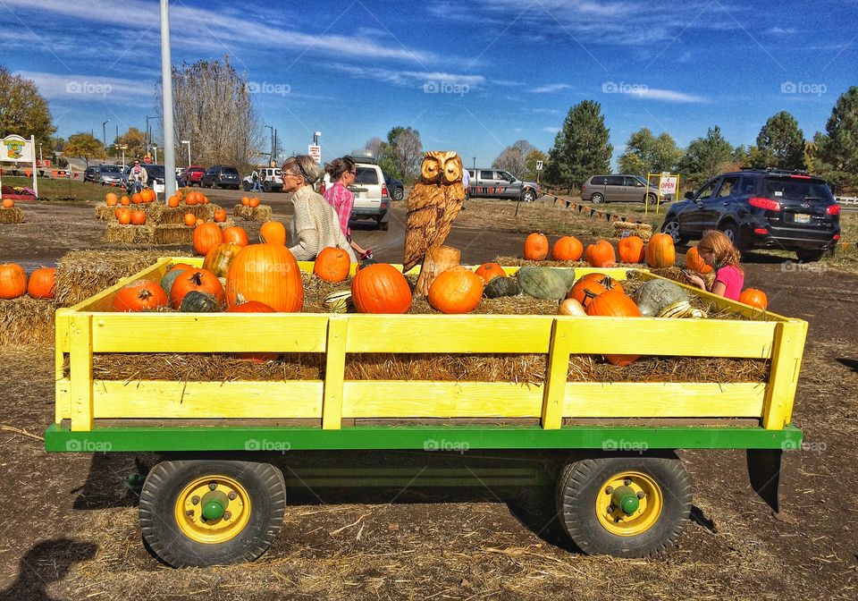 Pumpkin wagon 