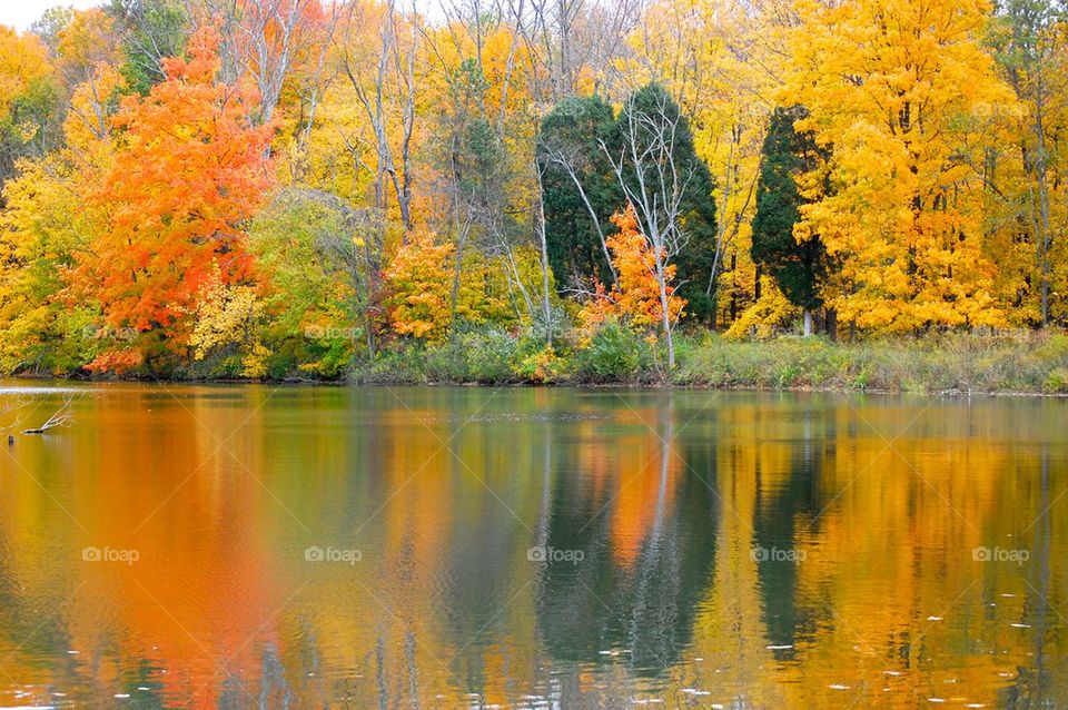 Fall at a lake