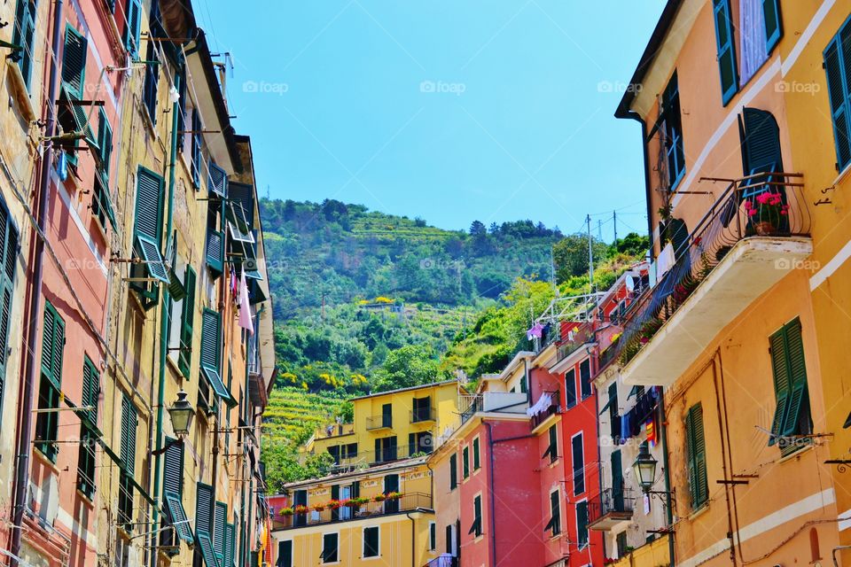 Street tops of Cinque Terre 