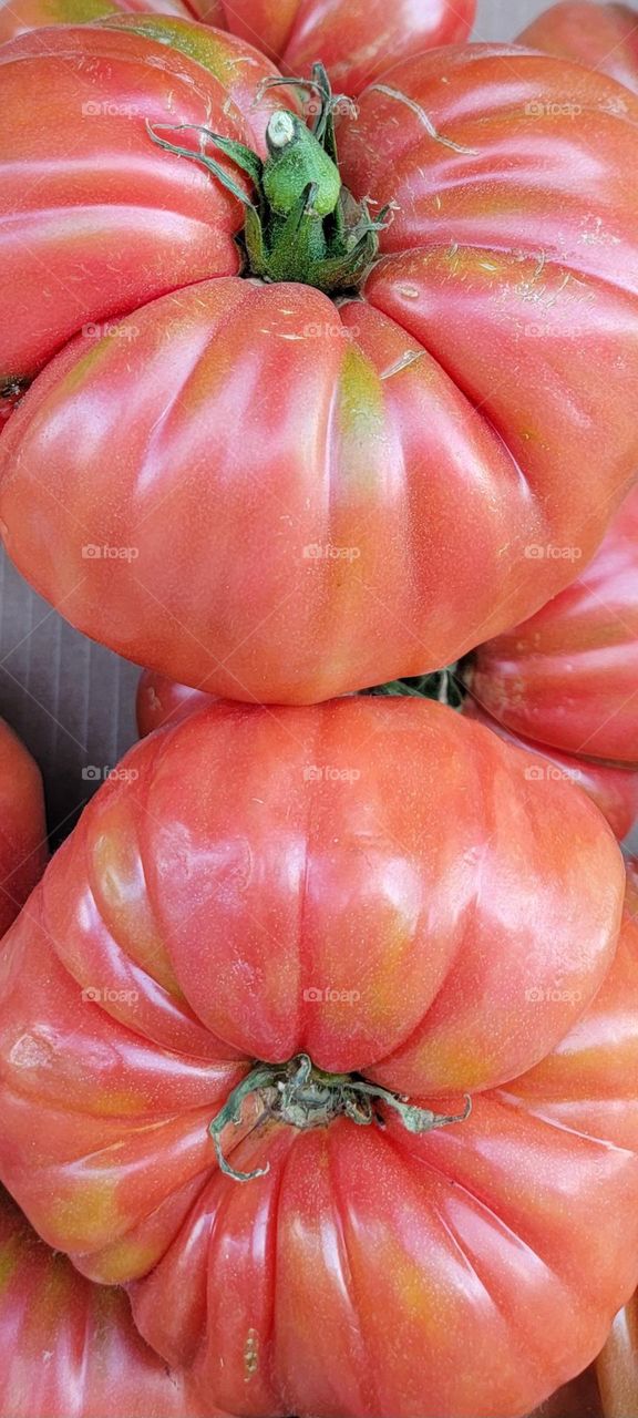 Tomates