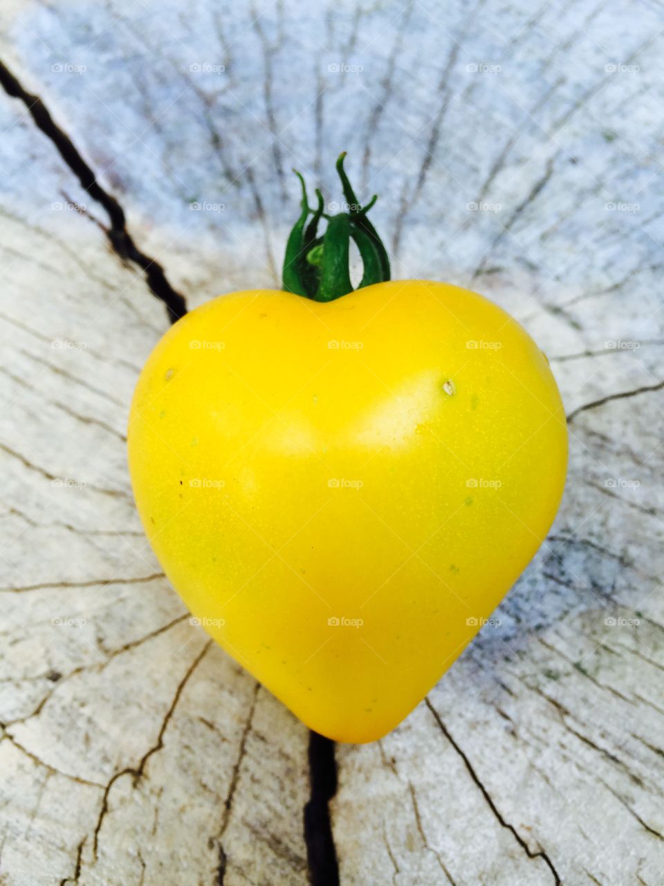 Heart tomato