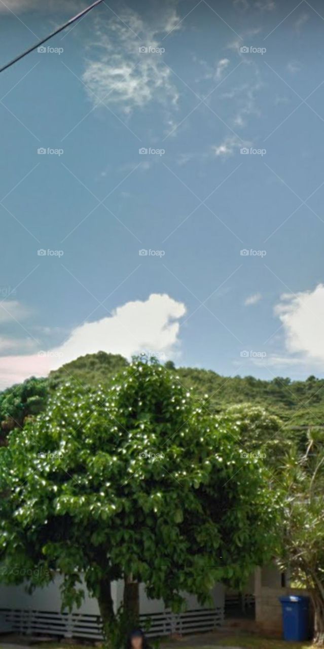 Bầu trời quan đản.