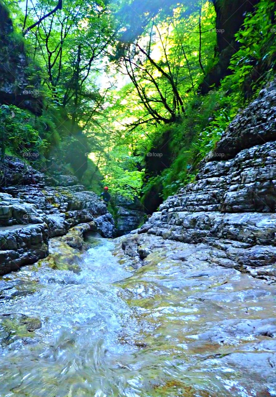 Luoghi nascosti nel bosco 