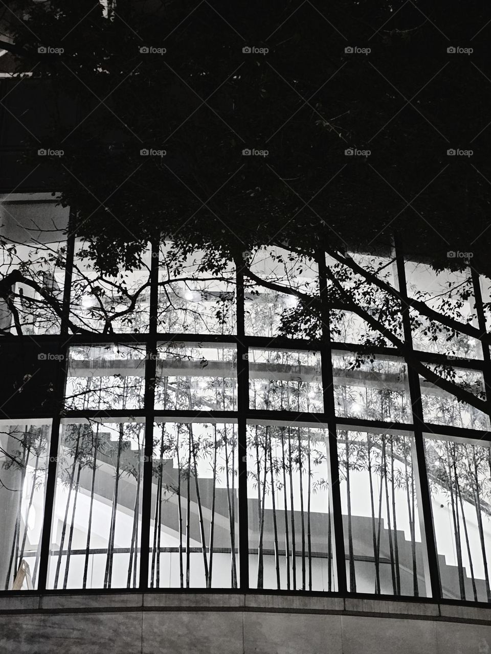 Nightwalk passing by the swimming pool building at Victoria Park Hong Kong