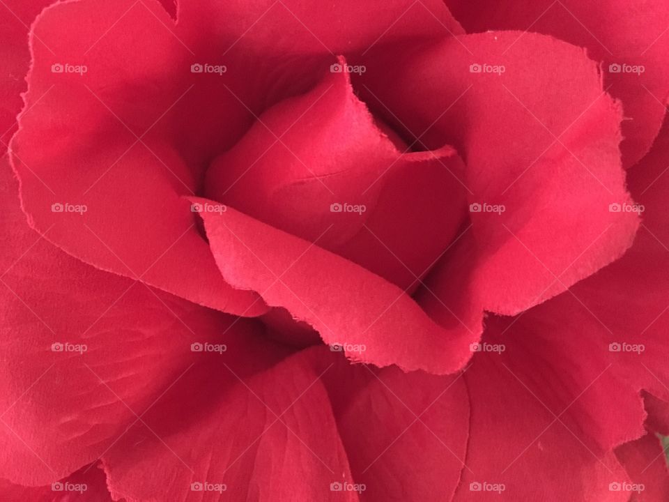 Red fabric flower